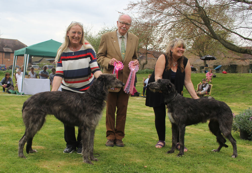 BIS Breed Show 2016